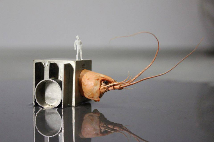 Ukázka obrazu pro dražbu