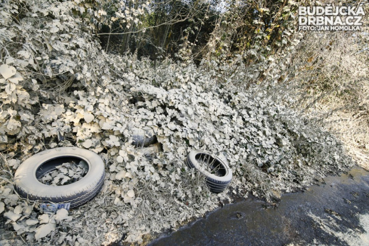 Požár nelegální skládky v Budějcích