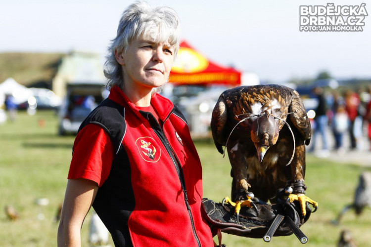 Den otevřených dvěří Letiště ČB