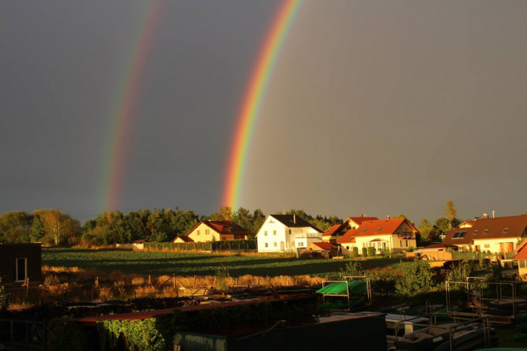 Zuzana Havlíčková