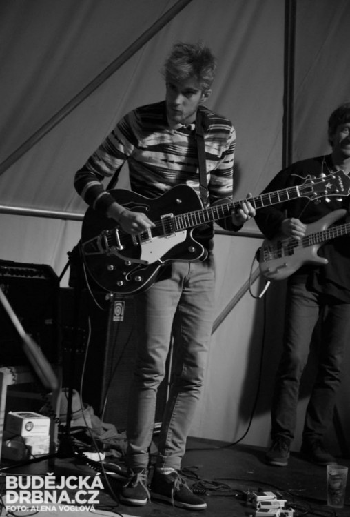 Kytarista kapely Walden