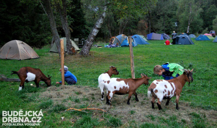 Šumava se vším všudy