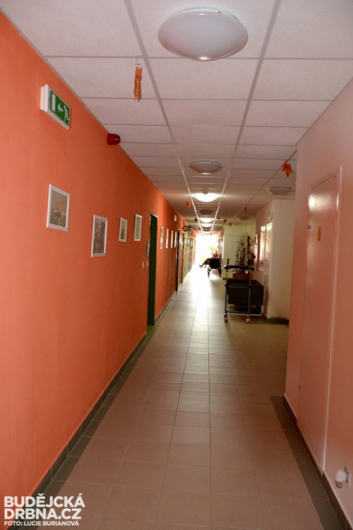 Alzheimercentrum a Seniorcentrum České Budějovice