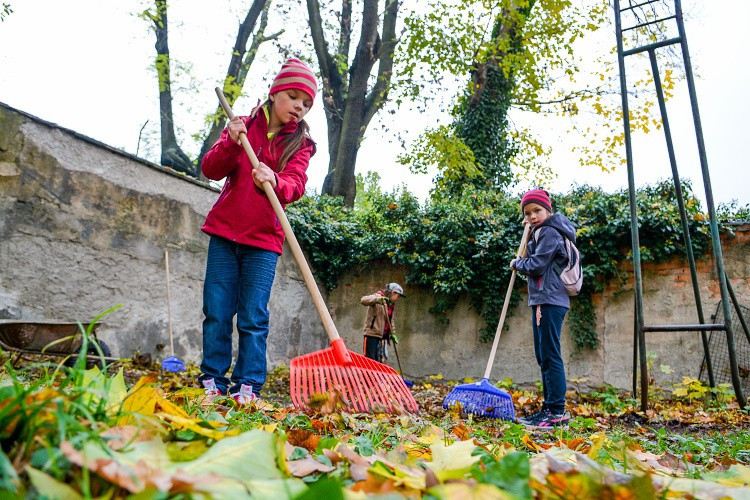 Studenti probouzejí park v Komenského ulici k životu