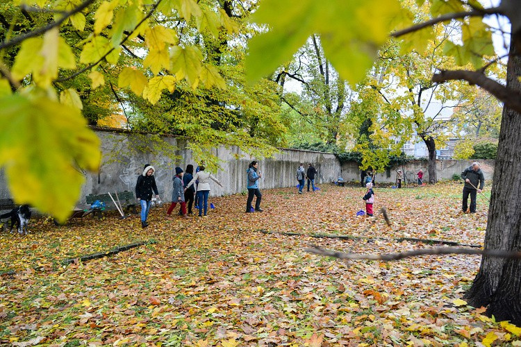 Studenti probouzejí park v Komenského ulici k životu