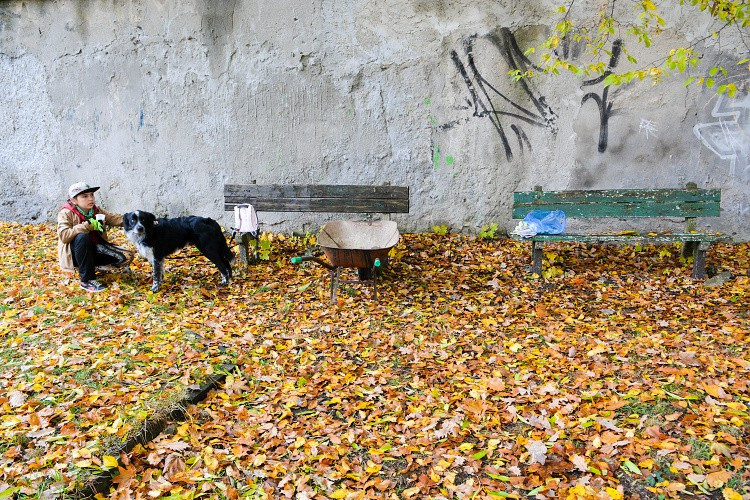 Studenti probouzejí park v Komenského ulici k životu