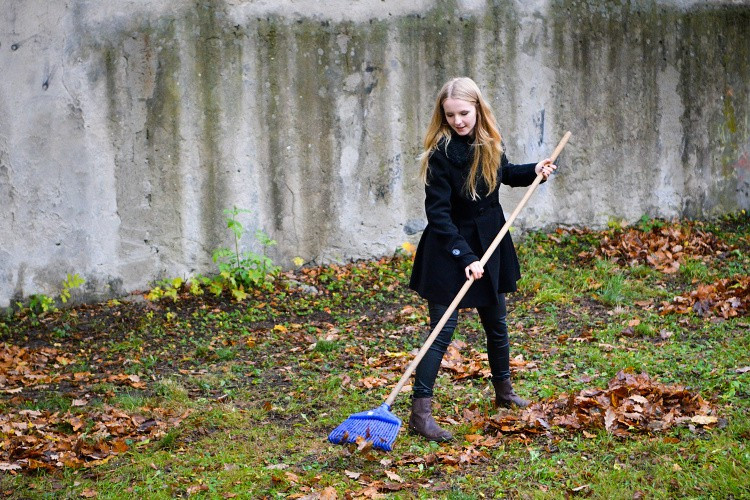Studenti probouzejí park v Komenského ulici k životu