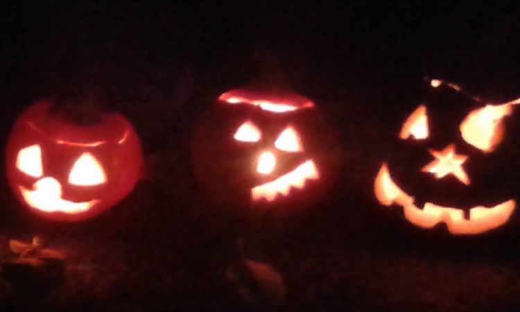 Veronika Stulíková