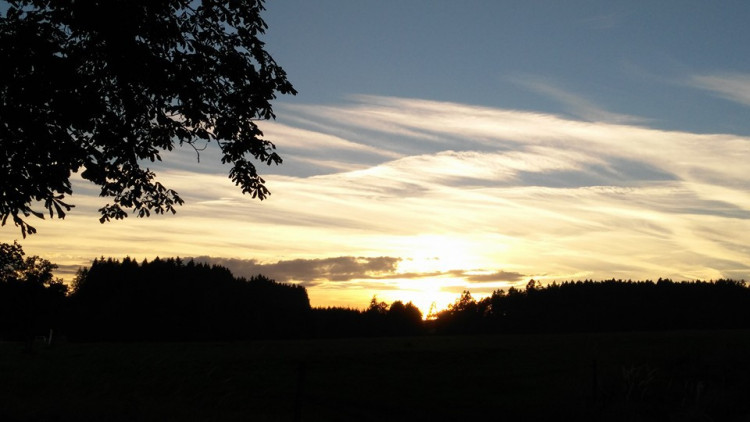 Dagmar Notti Lešetická