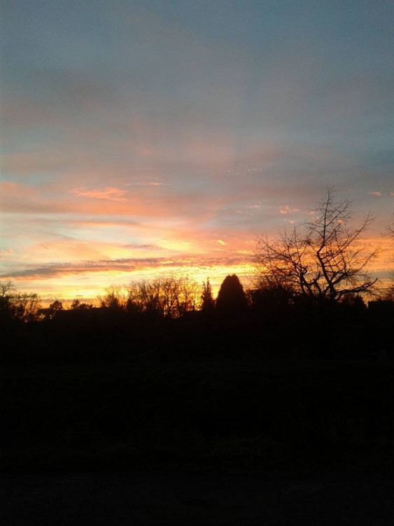 Eva Ottaviani Caplová