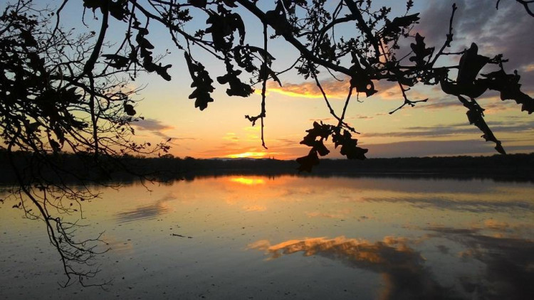 Chose-Hermida Racilop Fesoj