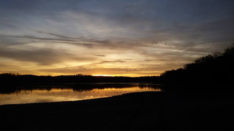 Janička Štěpková