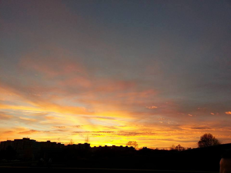 Lenka Zingorová Hoffmannová