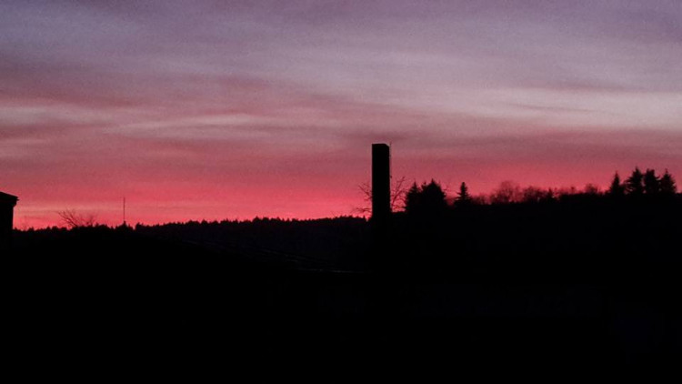 Magdalena Mili Kohoutová