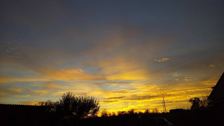 Martina Interholcová