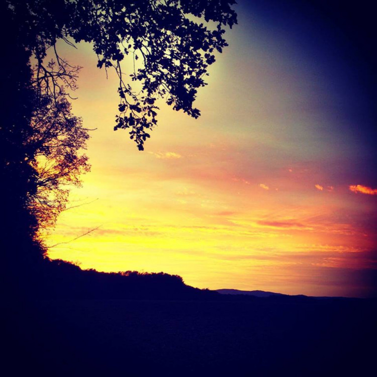 Michala Vera Jírová