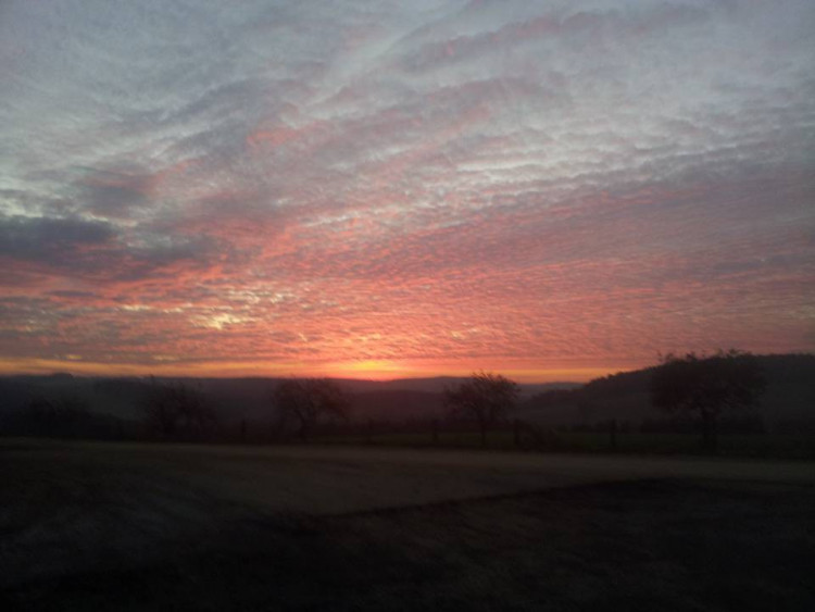 Remo ItalianaGaillardo