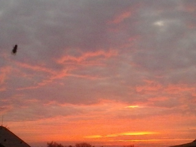 Šárka Midlísek Urbanová