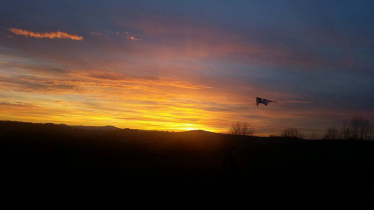 Viktorie Danielová 2