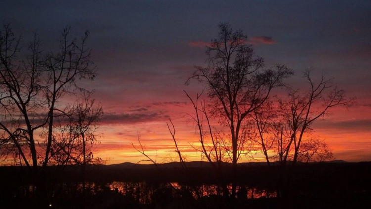 Vlastislav Sam Šindelář