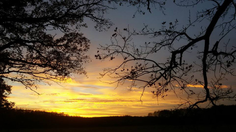 Veronika Sklopíková