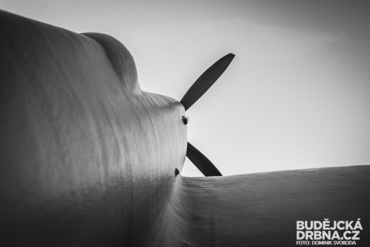 Den válečných veteránů