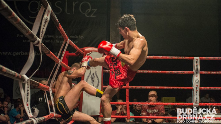 Pardál Gladiators Night 2015