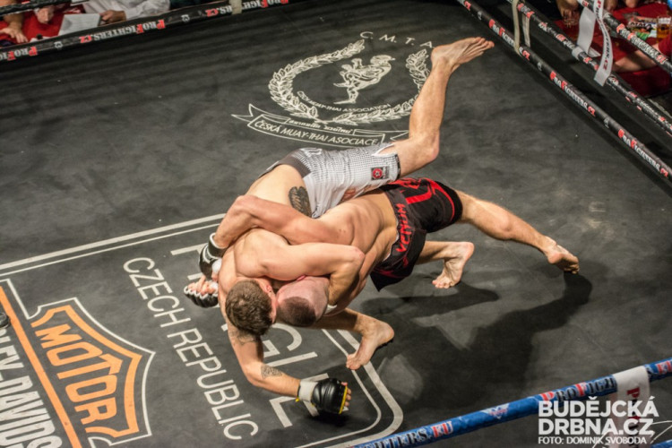 Pardál Gladiators Night 2015