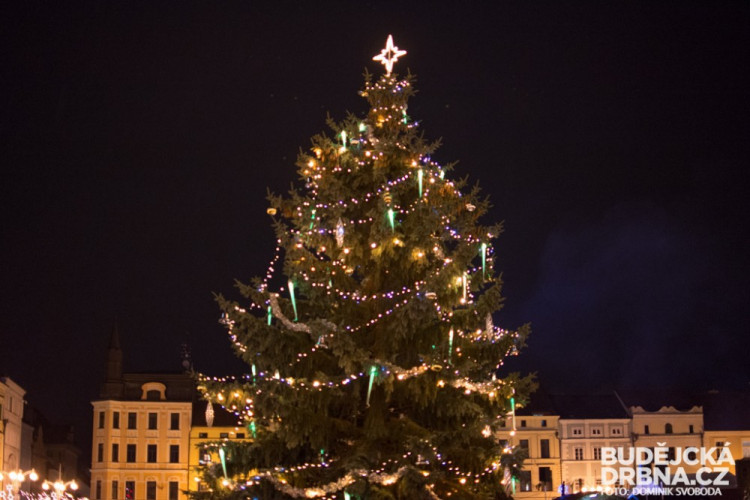 Rozsvícení vánočního stromu