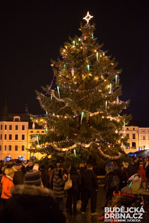 Rozsvícení vánočního stromu