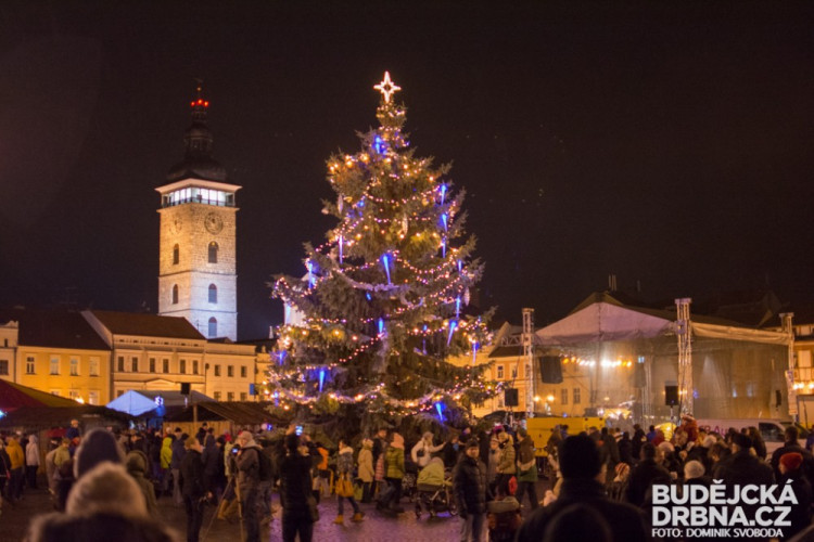 Rozsvícení vánočního stromu