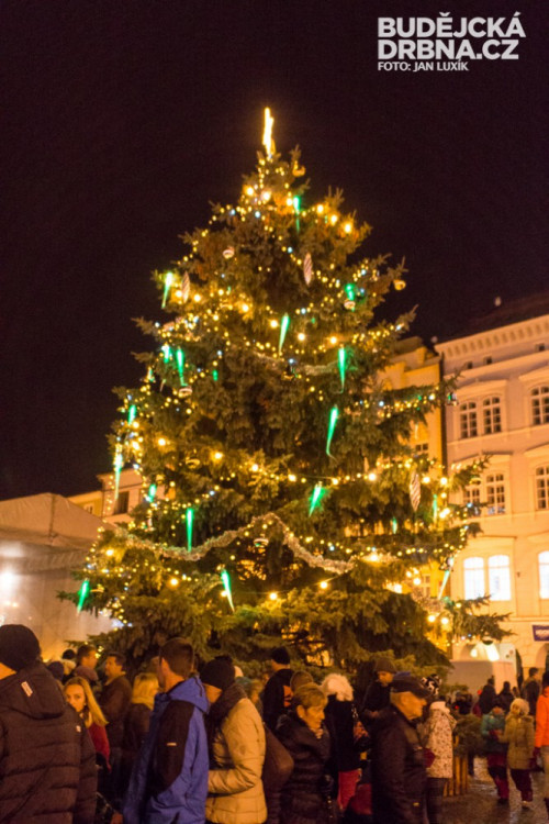 Rozsvícení vánočního stromu