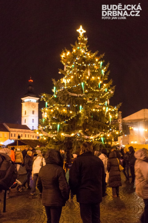 Rozsvícení vánočního stromu