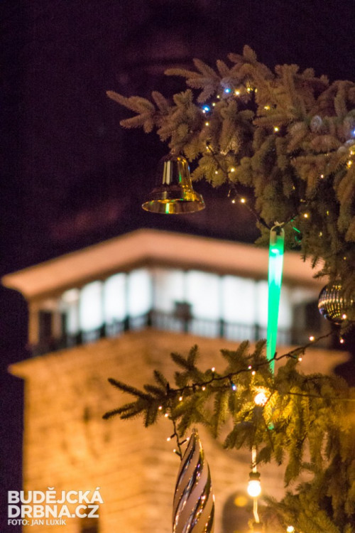 Rozsvícení vánočního stromu