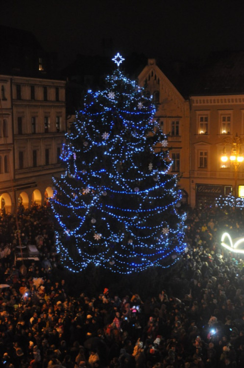 Rozsvícení vánočního stromku v Liberci