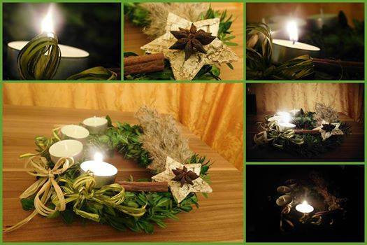 Petulka Navrátilová