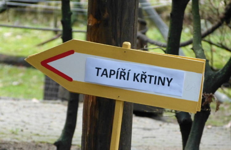 Jihlavská zoo pokřtila tapířího samečka.