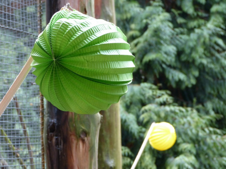 Jihlavská zoo pokřtila tapířího samečka.