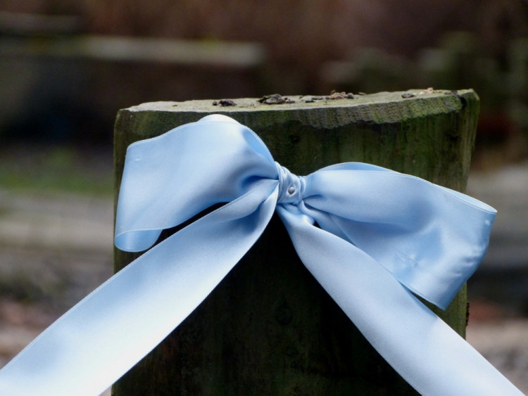 Jihlavská zoo pokřtila tapířího samečka.