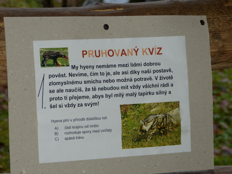 Jihlavská zoo pokřtila tapířího samečka.