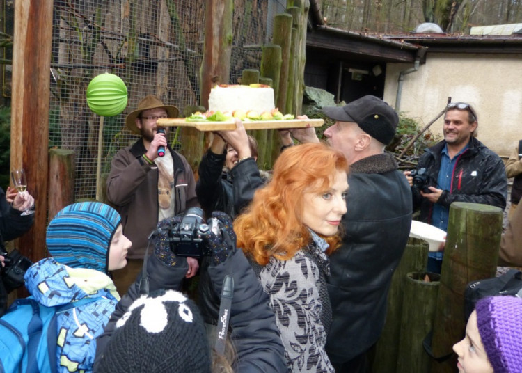 Jihlavská zoo pokřtila tapířího samečka.