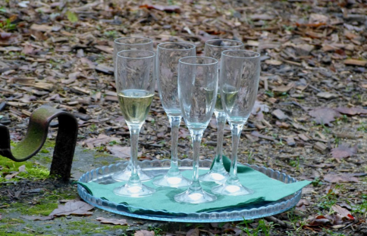 Jihlavská zoo pokřtila tapířího samečka.