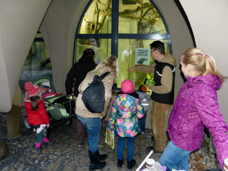 Jihlavská zoo pokřtila tapířího samečka.