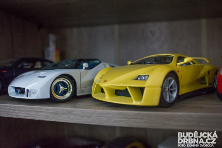 Ve sbírce má přes 600 kusů modelů