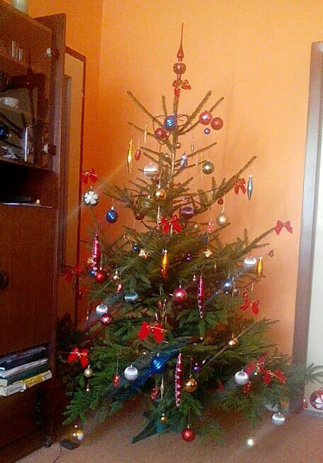 Čtenářská fotogalerie vánočních stromečků