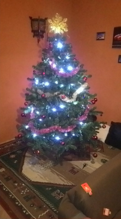 Čtenářská fotogalerie vánočních stromečků