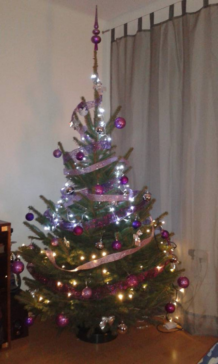 Čtenářská fotogalerie vánočních stromečků