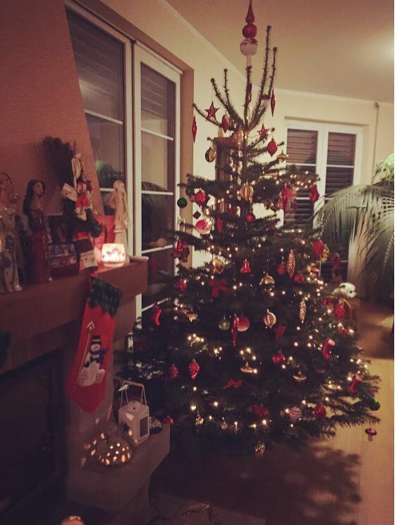 Čtenářská fotogalerie vánočních stromečků