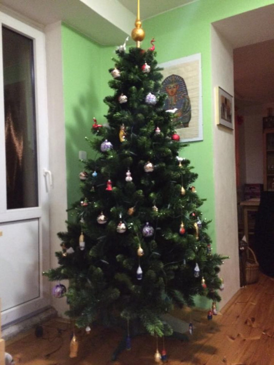 Čtenářská fotogalerie vánočních stromečků