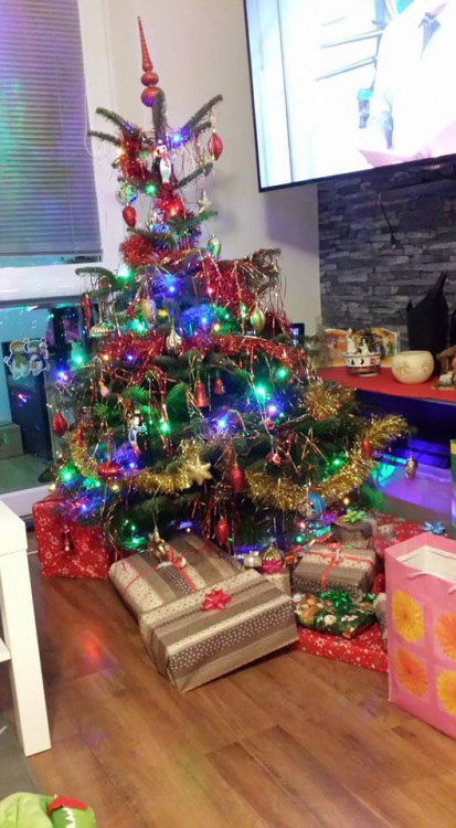 Čtenářská fotogalerie vánočních stromečků